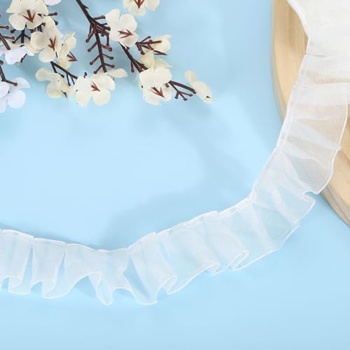 QUARKZMAN 11 Yards Ruffle Lace Trim Ribbon 2.5cm/1" Pleated Organza Lace Edge Trim Sewing Lace Fabric Trim for DIY Craft Dress Clothing Wedding Gift Home Decoration, Bright White von QUARKZMAN