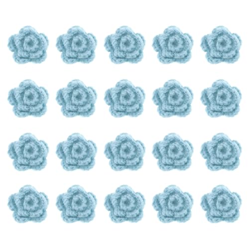 QUARKZMAN 20 Stück Blumen Aufnäher, 50mm Häkelblumen Blumenstickerei Applikationen Verzierungen für DIY Haare Hüte Kleidung Hochzeit Dekor Handwerk, Hellblau von QUARKZMAN