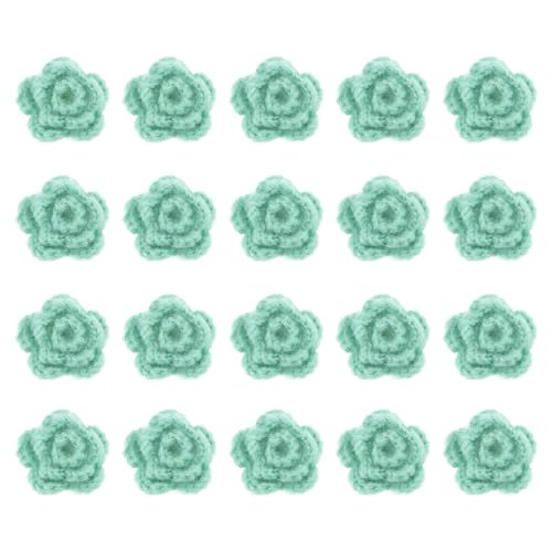 QUARKZMAN 20 Stück Blumen Aufnäher, 50mm Häkelblumen Blumenstickerei Applikationen Verzierungen für DIY Haare Hüte Kleidung Hochzeit Dekor Handwerk, Hellgrün von QUARKZMAN