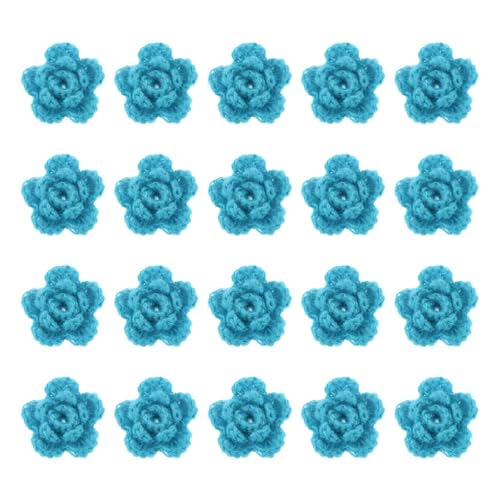 QUARKZMAN 20 Stück Blumen Aufnäher, 50mm Häkelblumen Blumenstickerei Applikationen Verzierungen für DIY Haare Hüte Kleidung Hochzeit Dekor Handwerk, Himmelblau QUARKZMAN 20 Stück Blumen Aufnäher, 50mm Häkelblumen Blumenstickerei Applikationen Verzierungen für DIY Haare Hüte Kleidung Hochzeit Dekor Handwerk, Himmelblau von QUARKZMAN