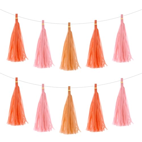 QUARKZMAN 30 Stück Hellrosa, Leuchtendes Orange, Dunkles Orange Quasten-Girlanden-Banner mit Seidenpapier-Quasten Party DIY-Kits für Jubiläum Hochzeit Geburtstagsfeier QUARKZMAN 30 Stück Hellrosa, Leuchtendes Orange, Dunkles Orange Quasten-Girlanden-Banner mit Seidenpapier-Quasten Party DIY-Kits für Jubiläum Hochzeit Geburtstagsfeier von QUARKZMAN