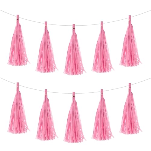 QUARKZMAN 30 Stück Rosa Quasten Girlande Banner mit Seil aus Seidenpapier Quasten Party DIY Kits für Jubiläum Hochzeit Geburtstagsfeier von QUARKZMAN