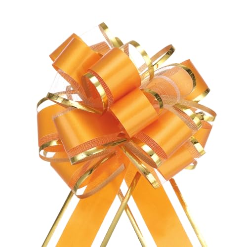 QUARKZMAN 5 Stück Geschenk Schleife 10cm Geschenkbänder Matte Ziehschleife Groß Dekoschleife für Geschenkverpackung Hochzeit Tüten Weihnachten Körbe Auto Deko, Hellorange QUARKZMAN 5 Stück Geschenk Schleife 10cm Geschenkbänder Matte Ziehschleife Groß Dekoschleife für Geschenkverpackung Hochzeit Tüten Weihnachten Körbe Auto Deko, Hellorange von QUARKZMAN