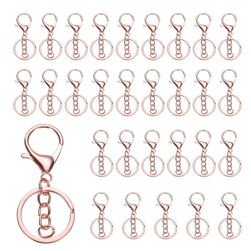 QUARKZMAN 30 Stück Schlüsselanhänger 30mm, Schlüsselring mit Flachem Karabiner und Kette für DIY Bastel, Glückswürmchen, Sorgenwürmchen, Makramee (Rosa) QUARKZMAN 30 Stück Schlüsselanhänger 30mm, Schlüsselring mit Flachem Karabiner und Kette für DIY Bastel, Glückswürmchen, Sorgenwürmchen, Makramee (Rosa) von QUARKZMAN