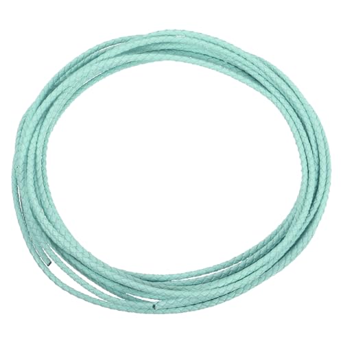 QUARKZMAN Lederband, 5,5 Meter, 3 mm Durchmesser, geflochtener Streifen für Geldbörse, Handtasche, Schnürsenkel, DIY-Basteln, Armbandherstellung, Hellgrün QUARKZMAN Lederband, 5,5 Meter, 3 mm Durchmesser, geflochtener Streifen für Geldbörse, Handtasche, Schnürsenkel, DIY-Basteln, Armbandherstellung, Hellgrün von QUARKZMAN