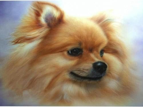 Kreuzstich-Stickerei Kit Anfänger Pomeranian Muster drucken Handwerk Kit erweiterte Kreuzstich 11CT Erwachsene einfach handgemachte DIY home decoration Wohnzimmer Eingang - 40x50cm von QUEEN SHOW