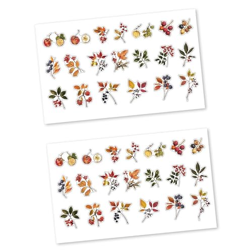 QUEENYARD Dekorativer Aufkleber, Pflanzenblatt, Blume, dekorativer Aufkleber, Scrapbooking-Aufkleber für Planer, Tagebücher, Laptops, Handyhülle, Wasserflasche, Kunsthandwerk QUEENYARD Dekorativer Aufkleber, Pflanzenblatt, Blume, dekorativer Aufkleber, Scrapbooking-Aufkleber für Planer, Tagebücher, Laptops, Handyhülle, Wasserflasche, Kunsthandwerk von QUEENYARD