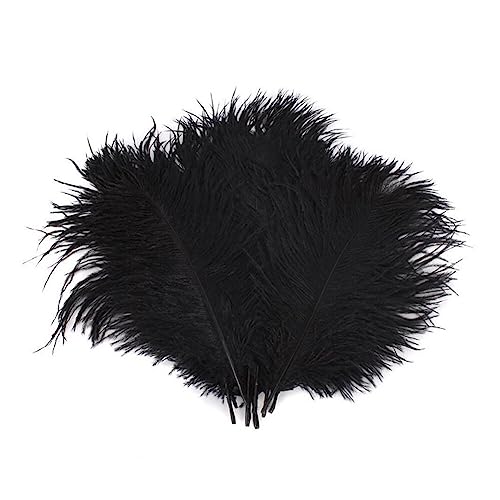 50 Stück, 15,2–20,3 cm, schwarz, sortierte Bastelfedern, Straußenfedern für DIY, Hochzeit, Tafelaufsätze, Heimdekorationen, Party, Kostüm, Kleidung, Verzierung, Kunst 50 Stück, 15,2–20,3 cm, schwarz, sortierte Bastelfedern, Straußenfedern für DIY, Hochzeit, Tafelaufsätze, Heimdekorationen, Party, Kostüm, Kleidung, Verzierung, Kunst von QUUPY