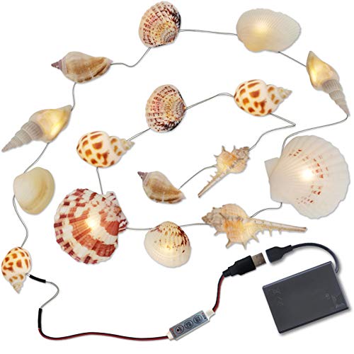 Muschel Lichterkette, maritim LED Lichterkette mit Batteriekasten, 20 LEDs warmweiß Festive Lights, echte Muscheln, DIY USB kreative Beleuchtung für Halloween Weihnachtsdekoration… von QUWOTXE
