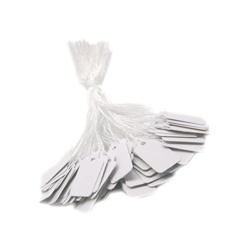 QUXVUIS 500 Stück DIY Geschenk Papieranhänger, vielseitig einsetzbar, einfacher Stil, Bastelzubehör, weiße Farbe, kleine Größe, leeres Etikett von QUXVUIS