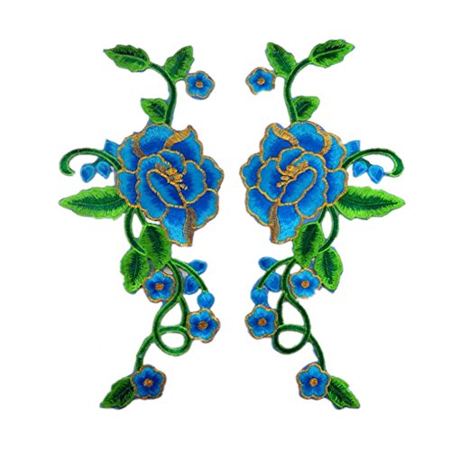 Applikationen für Kleidung, bestickte Blume, Stoffaufnäher, 1 Paar blühende Pfingstrosen in grünen Reben (Himmelblau) von QWFVHJ