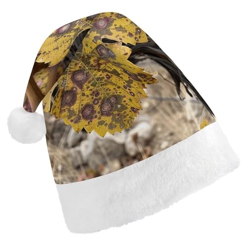 QWJKM Weihnachtsmütze mit Blättern auf Weinreben, weich, bequem, für Weihnachten, lustige, festliche Weihnachtsmütze für Erwachsene QWJKM Weihnachtsmütze mit Blättern auf Weinreben, weich, bequem, für Weihnachten, lustige, festliche Weihnachtsmütze für Erwachsene von QWJKM