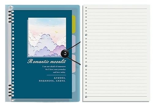 QWWQYDY Loose Leaf Notebook Vintage-Ölgemälde, kratzfest, lose Blätter, abnehmbarer horizontaler Notizblock, verdickter und vereinfachter Notizblock(D,B5) von QWWQYDY