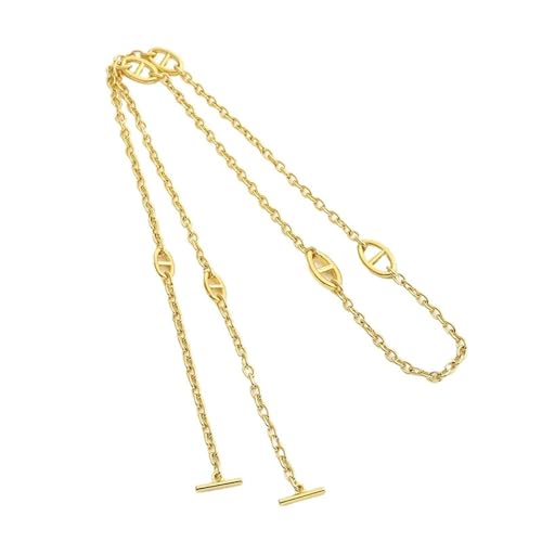 QWWQYDY Taschengurt Damen Handtasche Schulter Tragetasche Lady Bag Teile Ersatz poliert Glanz Metallglieder Lange Kette Riemen 120 cm(Golden Buckle 4) von QWWQYDY