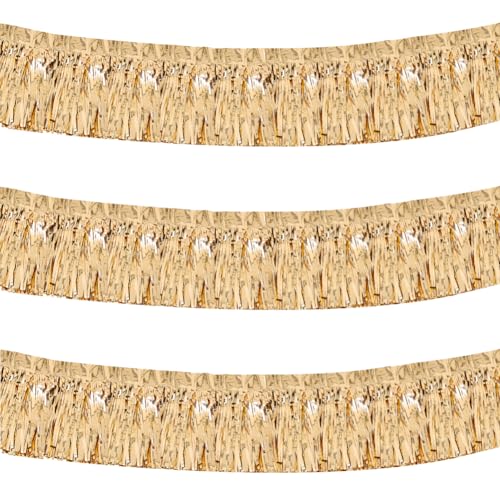 3PCS Glitter Curtain Decoration, Tinsel Curtains, Glitter Curtain Fringe,Metallic Rain Curtain for Wedding, Festivals, Wedding, Party, Stage,Foil Fringe Tinsel Curtains, 30X300CM (Champagner Gold) von QYEHF