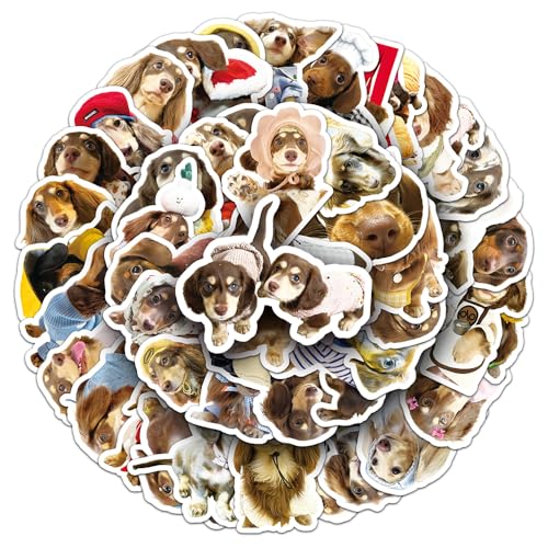 Dackel-Aufkleber für Kinder, Jungen, Mädchen, Teenager, Cartoon-Vinyl, wasserdichte Aufkleber für Laptop, Wasserflasche, Flaschen, Tablet, Sammelalbum, Tasse, Handy, Notizbuch, niedliche Tiere, Dackel-Aufkleber für Kinder, Jungen, Mädchen, Teenager, Cartoon-Vinyl, wasserdichte Aufkleber für Laptop, Wasserflasche, Flaschen, Tablet, Sammelalbum, Tasse, Handy, Notizbuch, niedliche Tiere, von Qaxrocyn