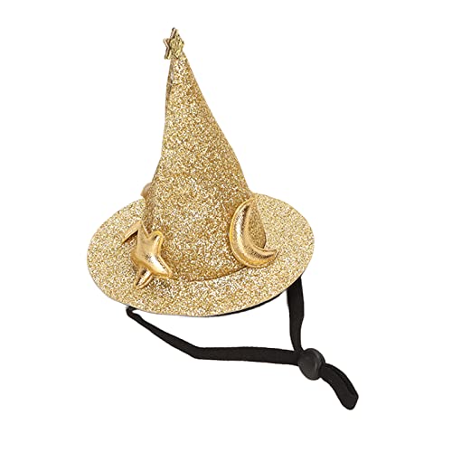 Qcwwy Hamster Hat, Mini Small Tier Hat Lizard Halloween Witch mit Verstellbarem Gürtel für Bärtigen Drachen -Meerschweinchen Igel Chinchilla Ferret, Premium-Material, Best Pet (GOLD) von Qcwwy
