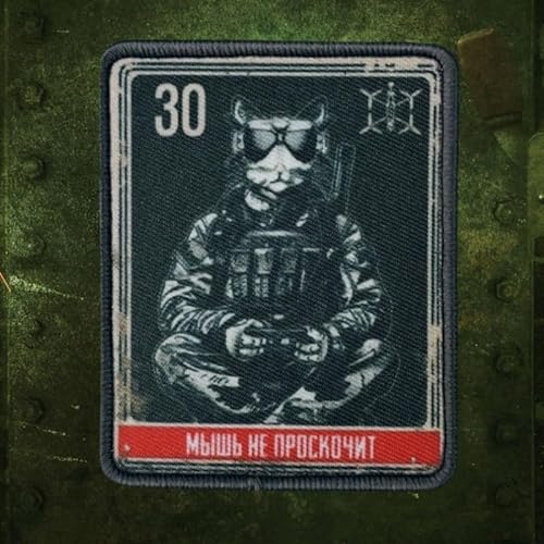 Klett Patch,Taktische Katze Patches Klett, Taktisches Militärisches Patch-Abzeichen, DIY Kleidung Jacke Rucksack Hut Dekoration Klettpatches, Ausgestattet Mit Klettverschluss von Qeuufieu