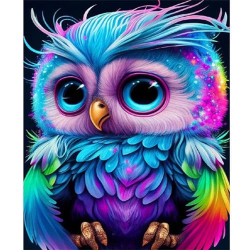 QiHon 5D Diamant Painting Bilder Erwachsene Tierische Eule, Diamond Painting für Anfänger, DIY Round Full Drill Strass Diamant Stickerei Kunst Bilder für Wand Dekoration Geschenke 40x50 cm QiHon 5D Diamant Painting Bilder Erwachsene Tierische Eule, Diamond Painting für Anfänger, DIY Round Full Drill Strass Diamant Stickerei Kunst Bilder für Wand Dekoration Geschenke 40x50 cm von QiHon