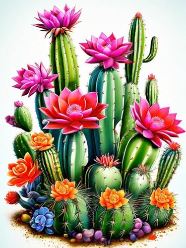 Qianbaiuk Kaktus Malen Nach Zahlen Erwachsene-Sukkulent Malen Nach Zahlen Erwachsene DIY Acrylpigment,für Art Home Decor(12x16 Zoll) von Qianbaiuk