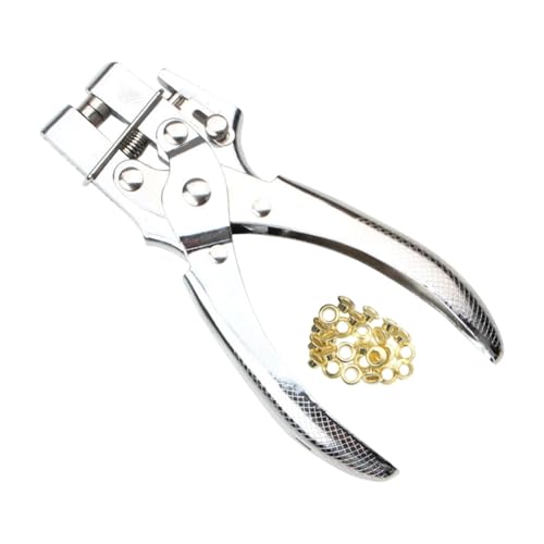 Qianly Grommet Ötenzabler Kit mit 100 pcs Özetts Gürtelloch Puncher Öleett -Jargett -Werkzeug für Kunsthandwerk von Qianly