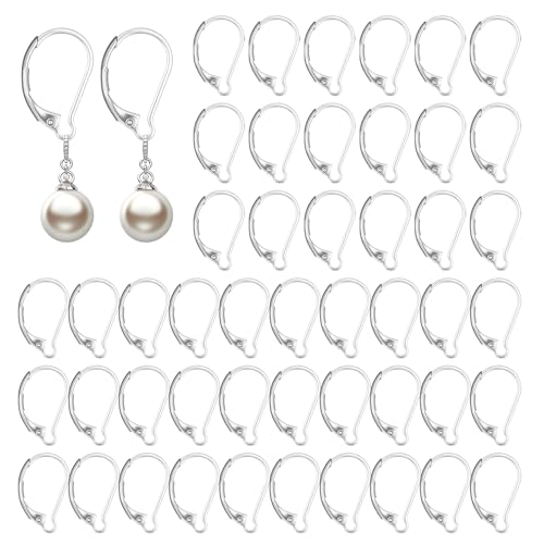 Qianyu 50 Stück Edelstahl-Ohrring-Verschlüsse mit Hebelverschluss, baumelnde Ohrringe, Haken, französische Ohrdraht, Ohrring-Verschlüsse, Klappbügel für Frauen, Schmuckherstellung, DIY Handwerk von Qianyu