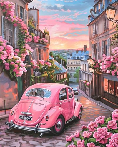 Pink Malen Nach Zahlen Erwachsene,Auto Paint by Numbers Adult,Cheerful Painting,Diy Handgemalt Kreativ Bastelset für Geschenk Heimdekoration. (Auto) von Qihensail