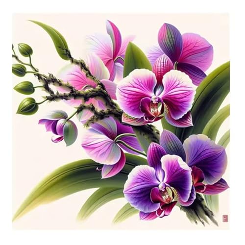 Qijinn Diamant Painting Bilder für Erwachsene Anfänger,5D Orchideenpflanzen Diamond Painting Set,DIY Vierkant Diamant Kunst Kits Vollbohrer Kreuzstich Malerei für Home Wand Dekor 105x105cm Qijinn Diamant Painting Bilder für Erwachsene Anfänger,5D Orchideenpflanzen Diamond Painting Set,DIY Vierkant Diamant Kunst Kits Vollbohrer Kreuzstich Malerei für Home Wand Dekor 105x105cm von Qijinn