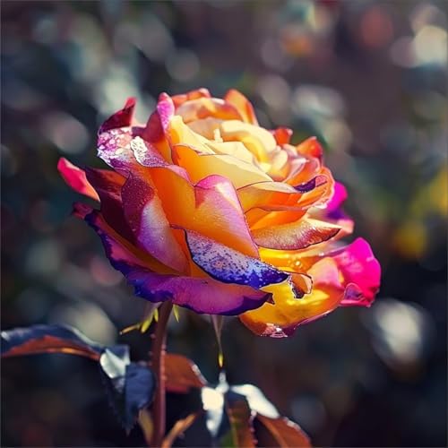 Qijinn Diamond Painting Erwachsene,Rosen Blumen 5D Diamant Painting Bilder DIY Rund Vollbohrer Diamond Painting Bilder Stickerei Diamant Malerei Set für Wanddekoration,105x105cm Qijinn Diamond Painting Erwachsene,Rosen Blumen 5D Diamant Painting Bilder DIY Rund Vollbohrer Diamond Painting Bilder Stickerei Diamant Malerei Set für Wanddekoration,105x105cm von Qijinn