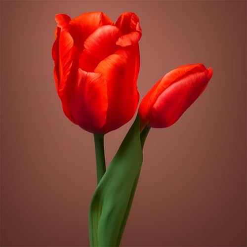 Qijinn Diamond Painting Erwachsene,Rote Tulpen 5D Diamant Painting Bilder DIY Rund Vollbohrer Diamond Painting Bilder Stickerei Diamant Malerei Set für Wanddekoration,105x105cm Qijinn Diamond Painting Erwachsene,Rote Tulpen 5D Diamant Painting Bilder DIY Rund Vollbohrer Diamond Painting Bilder Stickerei Diamant Malerei Set für Wanddekoration,105x105cm von Qijinn