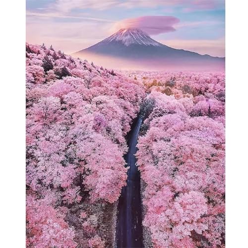 Qijinn Diamond Painting Kits,5D Fantasielandschaft Diamant Painting Bilder für Erwachsene,DIY Square Vollbohrer Diamant Malerei Stickerei Kreuzstich Set Home Wand Dekor Geschenke 90x110 cm von Qijinn