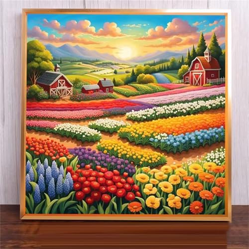 Qijinn Malen Nach Zahlen Erwachsene,DIY Bauernhof Blumenfelder Ölgemälde-Kits auf Leinwand mit Pinseln und Acrylpigment,Handgemalt Paint by numbers für Wohnzimmer, Büro Dekoration,mit Rahmen 40x40cm Qijinn Malen Nach Zahlen Erwachsene,DIY Bauernhof Blumenfelder Ölgemälde-Kits auf Leinwand mit Pinseln und Acrylpigment,Handgemalt Paint by numbers für Wohnzimmer, Büro Dekoration,mit Rahmen 40x40cm von Qijinn