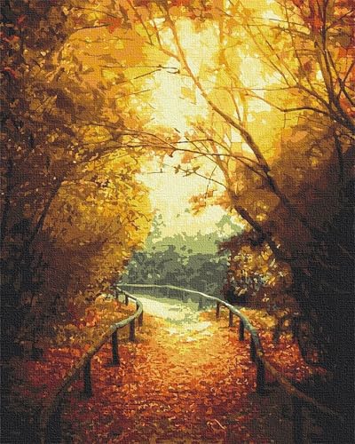 Qijinn Malen Nach Zahlen Erwachsene Herbstwald DIY Handgemalt Ölgemälde Kit für Anfänger,mit Pinseln und Acrylfarbe Paint by Number kit für Home Deko Geschenk 20x30 cm(mit Rahmen) von Qijinn