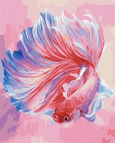 Qijinn Malen Nach Zahlen Erwachsene Rosa Goldfisch DIY Handgemalt Ölgemälde Kit für Anfänger,mit Pinseln und Acrylfarbe Paint by Number kit für Home Deko Geschenk 60x75 cm(mit Rahmen) von Qijinn