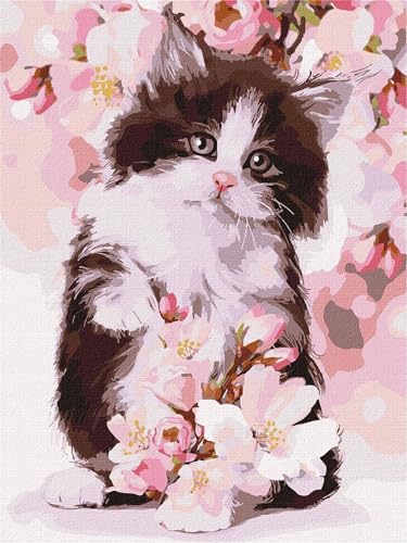 Qijinn Malen Nach Zahlen Erwachsene Süße Katzenblumen DIY Handgemalt Ölgemälde Kit für Anfänger,mit Pinseln und Acrylfarbe Paint by Number kit für Home Deko Geschenk 60x75 cm(mit Rahmen) von Qijinn