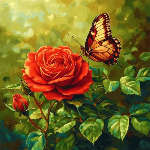 Qijinn Roter Rosenschmetterling Malen Nach Zahlen Erwachsene,DIY mit Rahmen Handgemalt Ölgemälde Kits für Anfänger,Acryl Malen nach Zahlen Kits auf Leinwand mit Pinseln für Heimdekoration 70x70cm Qijinn Roter Rosenschmetterling Malen Nach Zahlen Erwachsene,DIY mit Rahmen Handgemalt Ölgemälde Kits für Anfänger,Acryl Malen nach Zahlen Kits auf Leinwand mit Pinseln für Heimdekoration 70x70cm von Qijinn