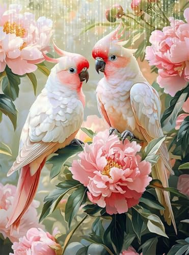 5D Diamond Painting Blume Diamant Painting Bilder Papagei DIY Runden Full Drill Diamant Stickerei Malerei Kits, Mosaikherstellung Basteln Mädchen Geschenk Set für Kinder Haus Wanddeko 50x70 cm Q4-74 5D Diamond Painting Blume Diamant Painting Bilder Papagei DIY Runden Full Drill Diamant Stickerei Malerei Kits, Mosaikherstellung Basteln Mädchen Geschenk Set für Kinder Haus Wanddeko 50x70 cm Q4-74 von Qinqhuag