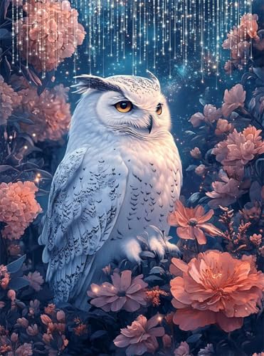 5D Diamond Painting Eule Diamant Painting Bilder Tier DIY Runden Full Drill Diamant Stickerei Malerei Kits, Mosaikherstellung Basteln Mädchen Geschenk Set für Kinder Haus Wanddeko 50x70 cm Q4-130 5D Diamond Painting Eule Diamant Painting Bilder Tier DIY Runden Full Drill Diamant Stickerei Malerei Kits, Mosaikherstellung Basteln Mädchen Geschenk Set für Kinder Haus Wanddeko 50x70 cm Q4-130 von Qinqhuag