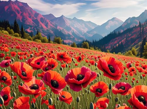 5D Diamond Painting Landschaft Diamant Painting Bilder Mohn DIY Eckige Full Drill Diamant Stickerei Malerei Kits, Mosaikherstellung Basteln Mädchen Geschenk Set für Haus Wanddeko 60x80 cm Q4-1088 von Qinqhuag