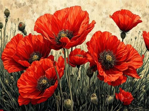 Diamond Painting Erwachsene, Diamant Painting Bilder Rot 5D Diamond-Painting Mohn DlY Vollbohrer Diamant Kunst Malerei Stickerei Bastelset Erwachsene Set, für Wohnzimmer Home Wanddeko 50x70 cm Q4-1103 von Qinqhuag