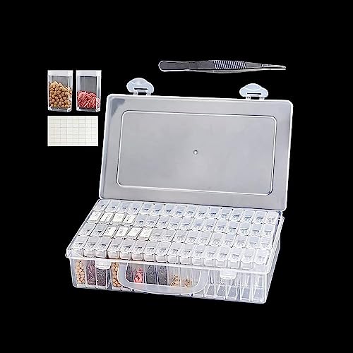 Qivine Saatgut Aufbewahrung Box mit Deckel, Samen Kleine Boxen Aufbewahrung Garten Zubehör, 64 Fächer Sortierbox Schrauben Diamant Painting Aufbewahrungsboxen mit Deckel für Schmuck Perlen Ohrring von Qivine