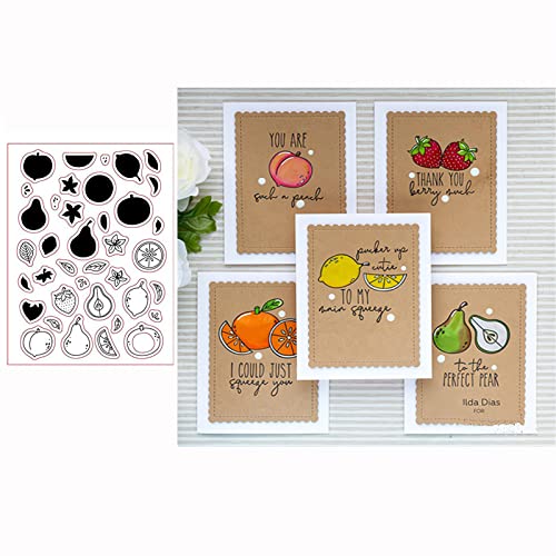 Qoiseys Fruit Clear Stamps for Card Making, Rubber Stamps for DIY Scrapbooking Fotoalbum Prägung Papier Craft Decor von Qoiseys
