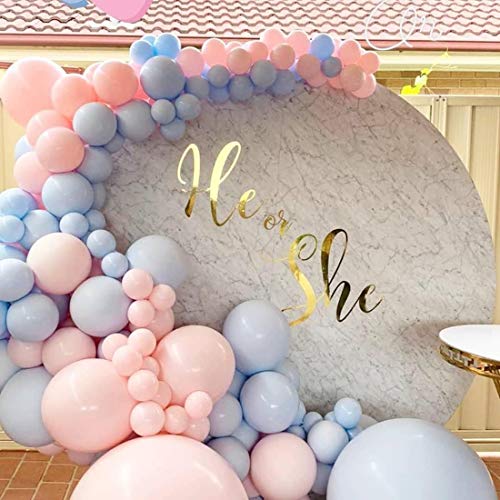 Lake Blue Pink Ballon Girlande gewölbt Kit, 16 Fuß Baby 110 rosa und hellblaue Luftballons für Seine oder ihre Gender Show Party, Lake Blue Pink Ballon Girlande gewölbt Kit, 16 Fuß Baby 110 rosa und hellblaue Luftballons für Seine oder ihre Gender Show Party, von QooQoo