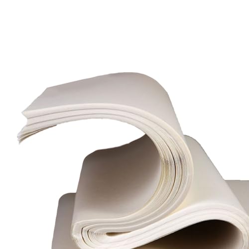 100 Pieces Reispapier 13x13.7inch Chinese Xuan Papierninten Malerei Papier Sumi Zeichnen Papier Für Pinselmalerei Schreiben Kalligraphie Reispapier von Qsvbeeqj