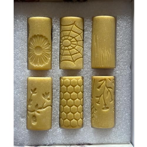 Qsvbeeqj Packung Von 6 Kindern Bildung Tonrollen Natur Thema Siegel Für Interaktion Und Naturforschung Für Kinder Kreation Kreativer Tonroller von Qsvbeeqj