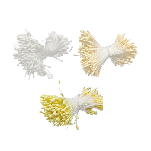 Staubblätter mit doppelköpfigen Blumen, matt, 1050–1600 Stück, 2 mm, künstliche Blumen-Staubblätter für Kunst, Handwerk, Hochzeitsdekoration von Qsvbeeqj