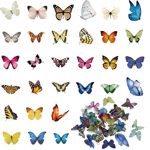 60 Stück Schmetterling Aufkleber, 30 Stile Bunte Transparente Scrapbook Sticker, PVC Schmetterlinge Scrapbooking Aufkleber für DIY Dekoration, Kalender, Briefumschläge oder Glückwunschkarten von QttvbTna