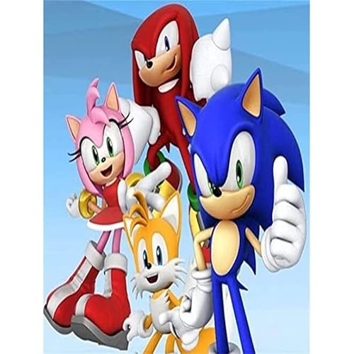 5D DIY Sonic Full Diamond Painting Kreuzstich Kits, Erwachsene und Kinder Kreuzstich Vollbohrer Kristall Strass Stickerei Bilder Kunst Handwerk für Zuhause Wanddekoration, 30,5 x 40,6 cm von Queenwiff