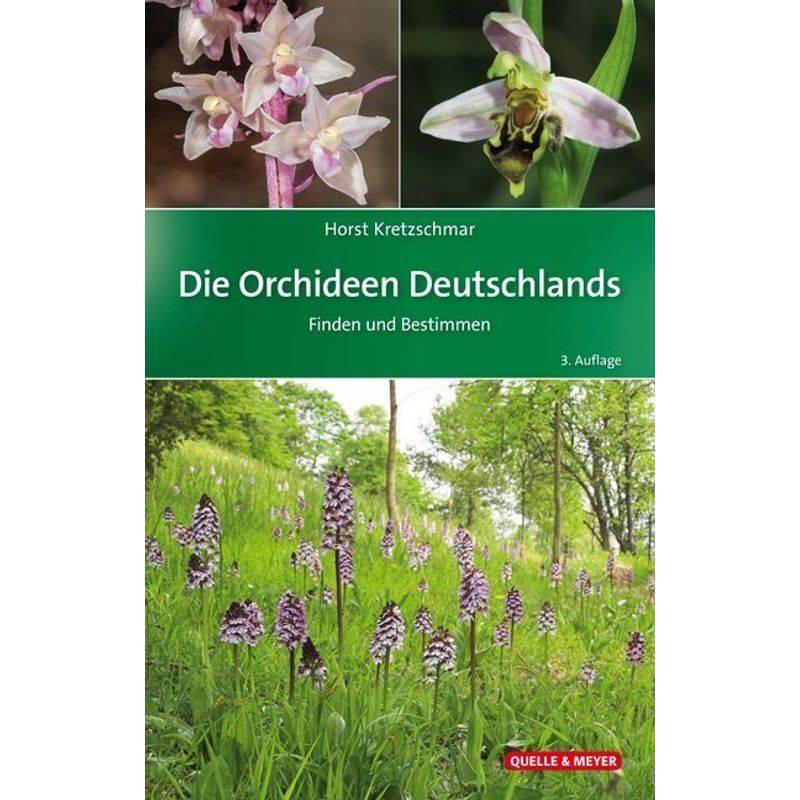 Die Orchideen Deutschlands - Horst Kretzschmar, Gebunden von Quelle & Meyer