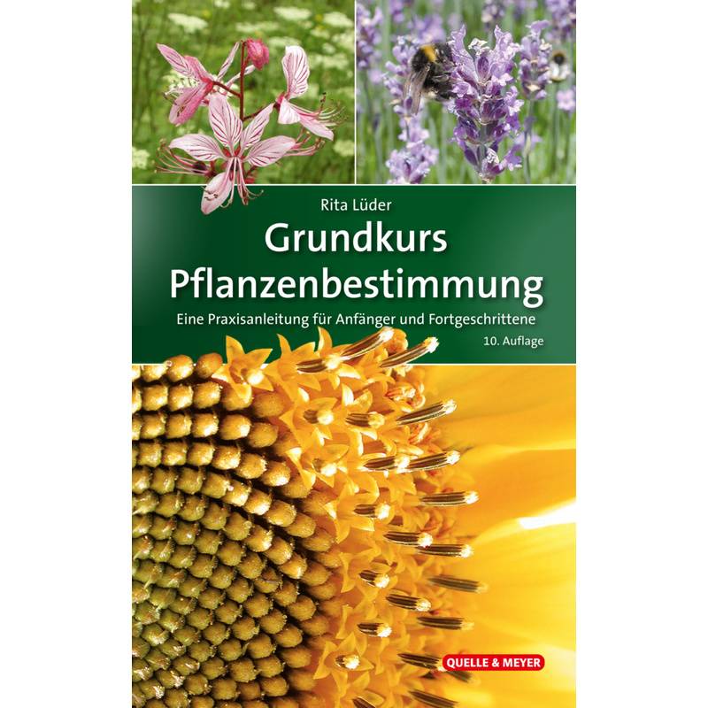 Grundkurs Pflanzenbestimmung - Rita Lüder, Gebunden von Quelle & Meyer